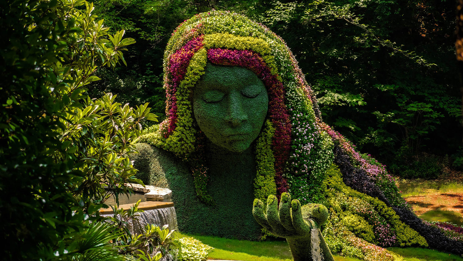Atlanta Botanical Gardens - Alexander Babbage