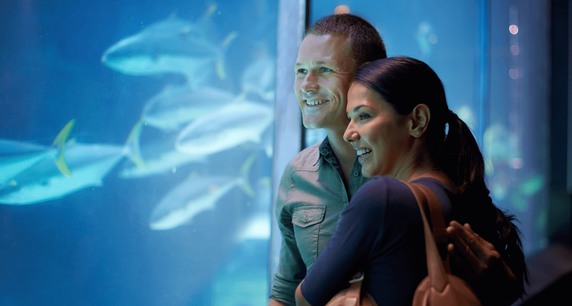 Couple looks at fish tank at aquarium