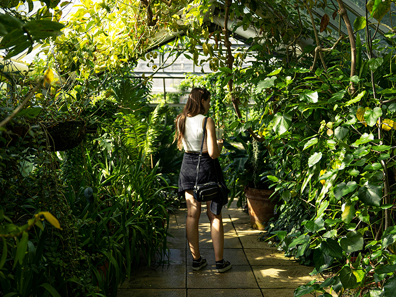 botanic-garden-trutrade