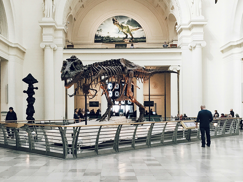 museum-destination-trutrade